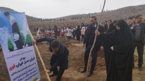 تصویر کاشت یازده هزار اصله نهال توسط فعالان عرصه سوادآموزی استان البرز