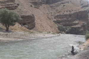 تصویر نجات مادر و دختر از مرگ در رودخانه کرج