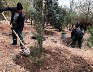 تصویر تکمیل کاشت بیش از ۲۰۰۰ اصله نهال در پروژه جنگل‌کاری کلاک و خلج آباد