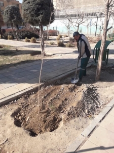 تصویر اقدامات شهرداری منطقه 5 کرج برای افزایش سرانه فضای سبز