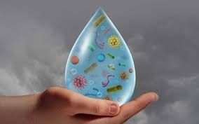بیماریهای منتقله از آب و غذا