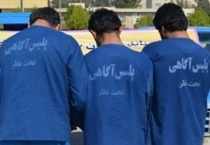 تصویر کشف 17 فقره سرقت کش روزنی در کرج