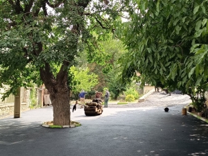 تصویر آغاز عملیات روکش آسفالت معابر سطح شهر آسارا