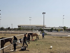 تصویر نظرآباد میزبان مسابقات اسب‌دوانی جام شهید والامقام مهندس سید امیرحسین خادمی