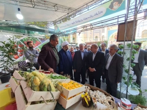 تصویر بخش کشاورزی، فرصتی مناسب برای جذب سرمایه های داخلی و خارجی