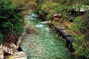 تصویر برغان در مسیر ثبت جهانی