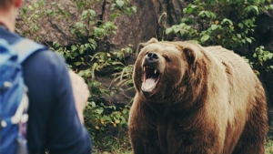 تصویر سایه شوم خشکسالی/ پناه وحوش به زیستگاه انسان در البرز