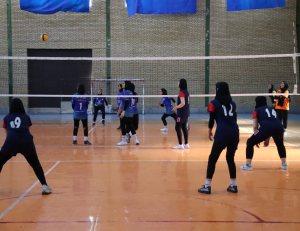 تصویر آغاز مسابقات والیبال «جام خلیج فارس» در ماهدشت