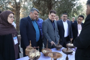 تصویر توسعه صنایع‌دستی بدون حمایت پایدار ممکن نیست