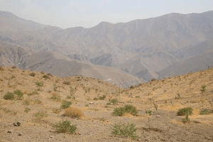 تصویر تامین آب جنگل‌کاری بیجی با احداث مخازن ۳۰۰۰ مترمکعبی