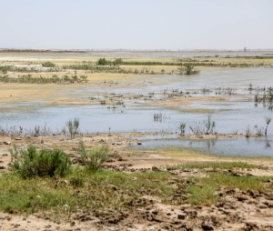 تصویر گام بلند دولت در زدودن گرد و غبار