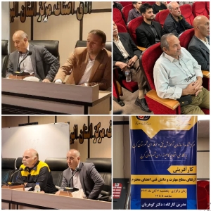 تصویر برگزاری کارگاه آموزشی ویژه اعضای رسته تعمیرکاران موتورسیکلت، دوچرخه و فروشندگان قطعات یدکی