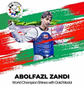 تصویر پیام تبریک سرپرست اداره کل ورزش و جوانان استان البرز در پی افتخارآفرینی تکواندوکار البرزی در آوردگاه جهانی