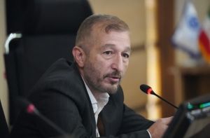 تصویر لزوم حضور دامپزشک کلینیکال در پیمان و پناهگاه سگ‌های بلاصاحب