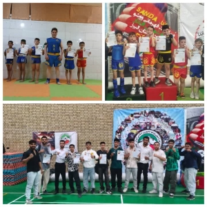 تصویر درخشش ووشوکاران ساوجبلاغ در مسابفات استانی