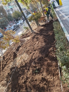 تصویر پیگیری قاطع چک‌های برگشتی در منطقه ۳ شهرداری کرج