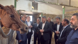 تصویر بازدید فرماندار ساوجبلاغ از باشگاه سوارکاری ایران‌استاد در تهراندشت