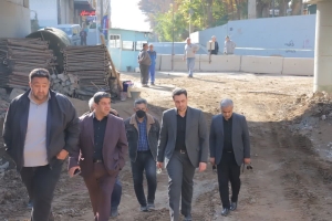 تصویر بازدید شهردار گرمدره از پروژه‌های عمرانی در حال اجرا