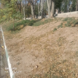 تصویر بهسازی فضای سبز ضلع جنوبی بوستان پروین اعتصامی (پارک بانوان) هشتگرد