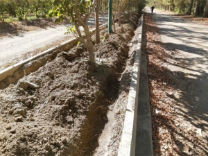 تصویر اجرای روش آبیاری قطره‌ای زیرسطحی در نهالستان بزرگ کرج به‌صورت پایلوت