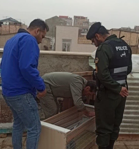 تصویر کشف و ضبط ۲۰ قطعه کبوتر چاهی از متخلف فعال در فضای مجازی در نظرآباد