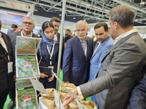 تصویر البرز در مسیر دیپلماسی صنعتی