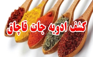 کشف ادویه جات ۸۰ میلیارد ریالی در چهارباغ