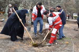 تصویر پویش سراسری نهالکاری روز مادر  در البرز