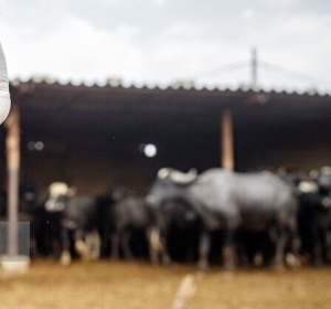 ماجرای تب برفکی در البرز