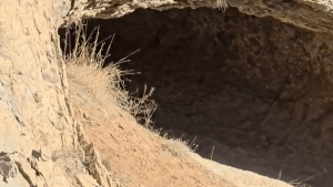 تصویر غار سُرهه جایی که سنگ‌ها از نخستین انسان‌ها سخن می‌گویند