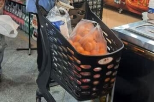 تصویر چرخ‌دستی‌های حمل بار به بازارهای روز میوه و تره‌بار کرج اضافه شد