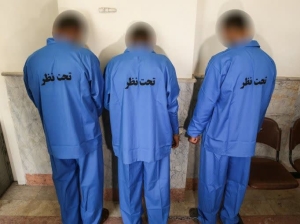 تصویر دستگیری سارقان حرفه ای کابل برق در کرج