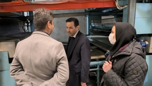 تصویر بازدید میدانی مدیرکل صمت البرز از طرح‌های صنعتی در آستانه دهه فجر+ تصاویر