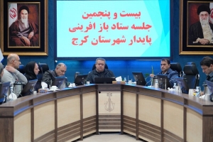 تصویر تصویب طرح‌ها و تامین اعتبار پروژه‌های محلات هدف تسریع شود