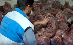 پشت صحنه امنیت غذایی در البرز؛ جایی که دامپزشکان پای سلامت مردم هستند