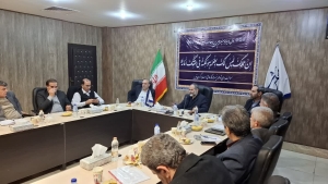 تصویر هزینه ناکارآمدی وارد کنندگان دولتی و خصوصی نباید از جیب مردم پرداخت شود