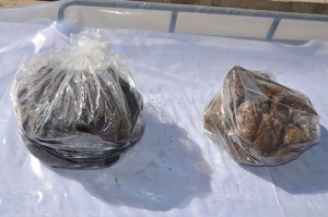 تصویر کشف 17 کیلوگرم تریاک در فردیس