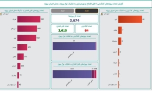 تصویر البرز در مسیر پیشرفت؛ روایت برنامه‌های دهه مبارک فجر از زبان استاندار و فرمانداران