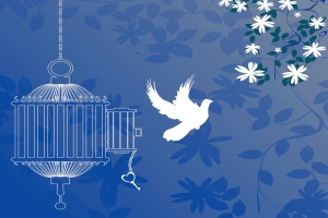 تصویر زندگی دوباره؛ پایان ۱۷ پرونده قصاص در ندامتگاه قزلحصار