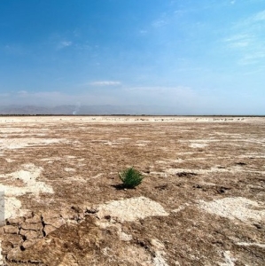 تصویر تالاب صالحیه همچنان بی‌آب