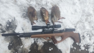 تصویر دستگیر شکارچی غیر مجاز در منطقه حفاظت شده البرز جنوبی