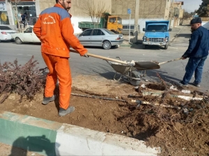 تصویر بهسازی و استقرار مناسب سطل زباله در بلوار والفجر هشتگرد