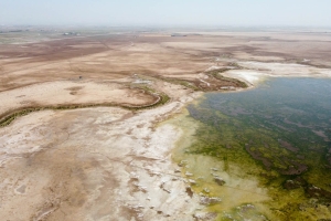 تصویر تالاب صالحیه در روز جهانی تالاب‌ها؛ از محدودیت منابع آب تا اولویت‌ مدیریتی استان