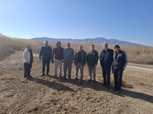 تصویر سرشماری زمستانه پرندگان در ماهدشت کرج