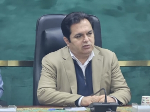 تصویر دهه فجر فرصت مغتنمی برای ایجاد نشاط اجتماعی است