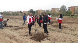 تصویر کاشت ۲۰۰ اصله نهال  به یاد رهبر گرانقدر شهید در مجموعه "فخر ایران "نظرآباد