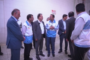 تصویر ذبح بیش از ۲۰۰ هزار راس دام در عید قربان