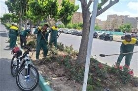 عملیات نگهداشت و توسعه فضای سبز در منطقه ۵ کرج اجرا شد