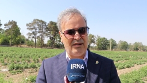 تصویر ۱۰ هزار هکتار اراضی کشاورزی کشور زیر پوشش آبیاری هوشمند قرار گرفت