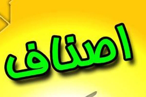 تصویر اصناف؛ ستون‌های استوار اقتصاد و همراهان همیشگی جامعه